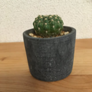 RoCo