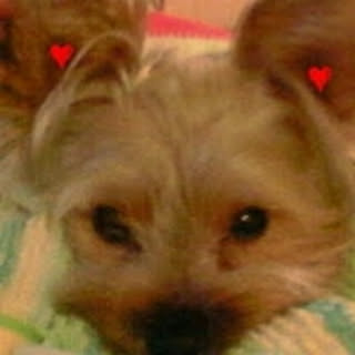 mikiko
