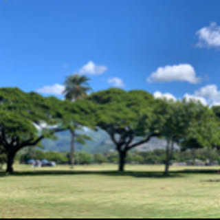 usako