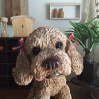 ma_