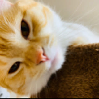 hiromi