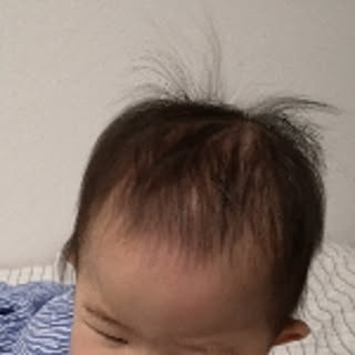 yoshihaha