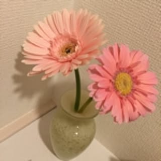 nenemi
