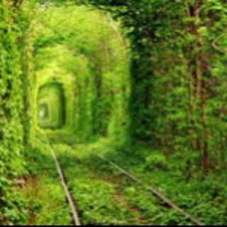 buon-viaggio