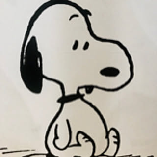 m26