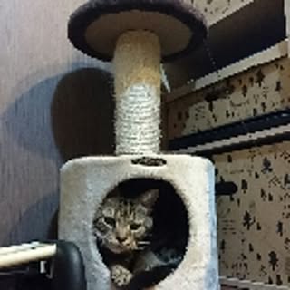Yuki