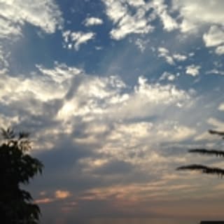 banvi_onion
