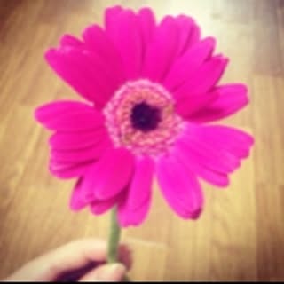 mignon