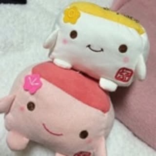 akasiapanda