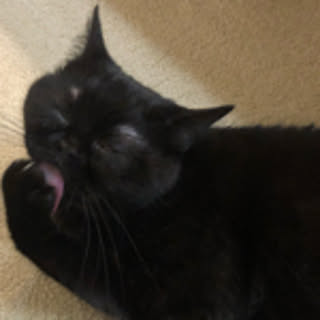 OPQRKUKU