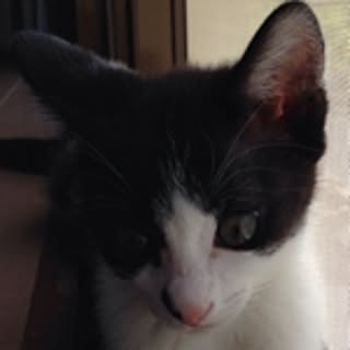 myuuko