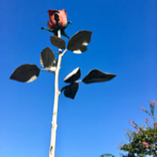 enarc126