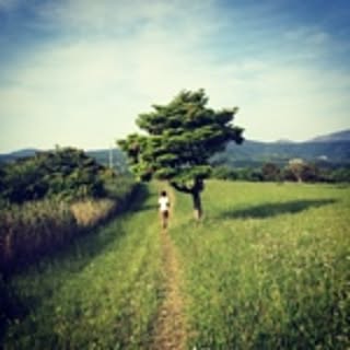 misakigt