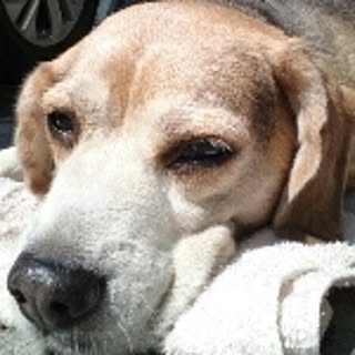 bettyen