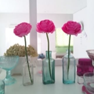 studio-bloom