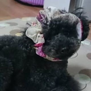 Yuka