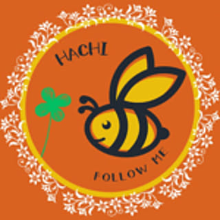 hachi