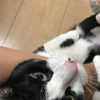 akiko
