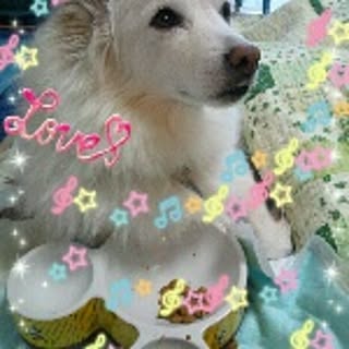 nonchan