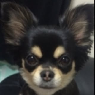 Babuko