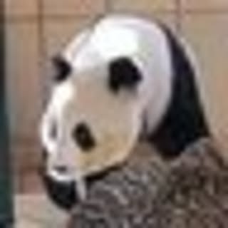 panda