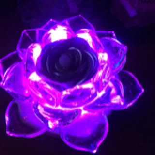 korochiru