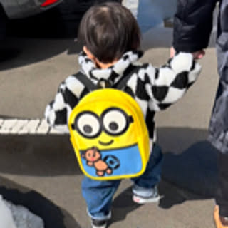 chieminion0529