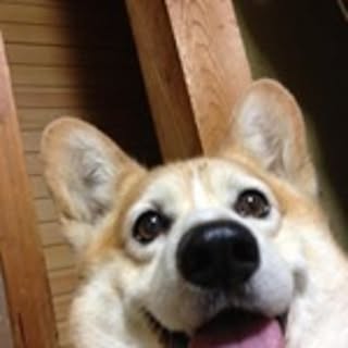 Yukiko