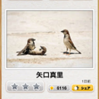 1010Haruto