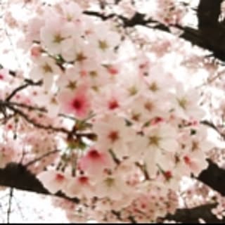rina
