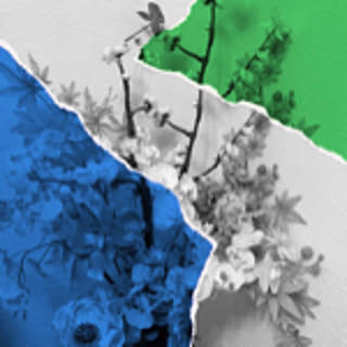 designbuzzybee
