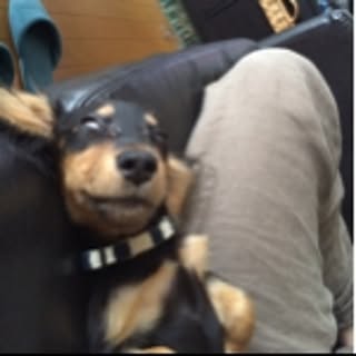 lotta