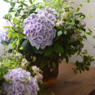 bonheur0905
