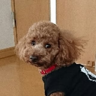c0c0a