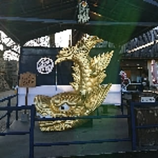 usaginomimi