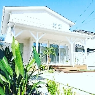 mohala808