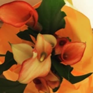 tomatorad0118