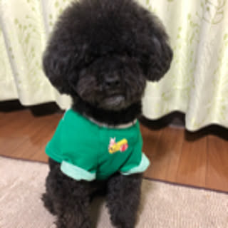 mika