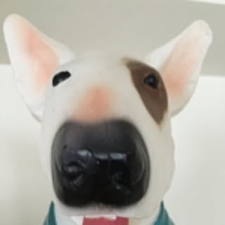 NGSK