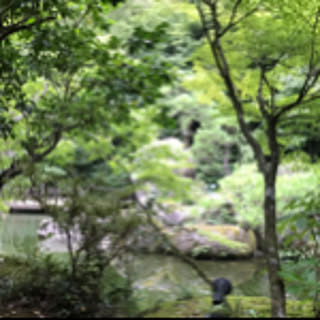 harumakichan