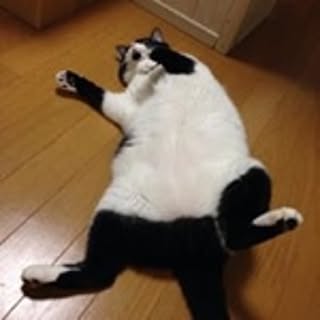 Fumi