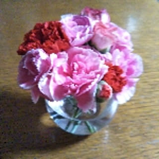 tamao