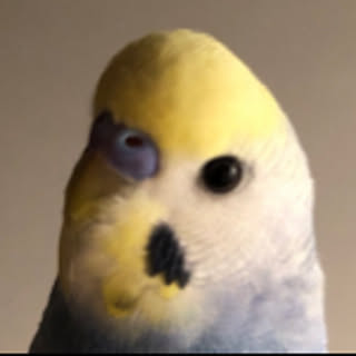 Mio