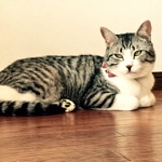 challusagi