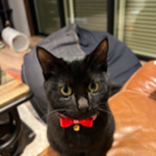 Hiroko