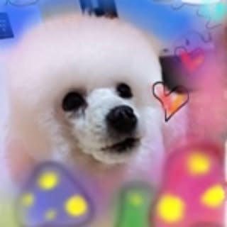 mipoco