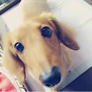 hana