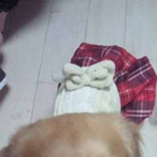POTA
