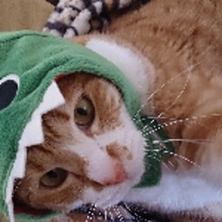 LaLa
