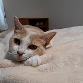 hiro